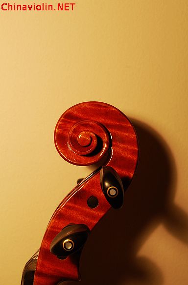 dsc_0203.jpg
