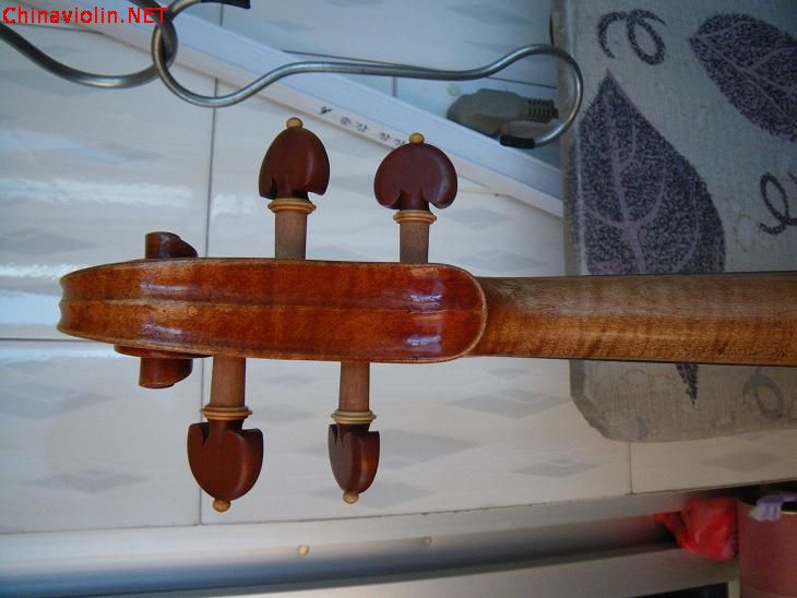 imgp1113.jpg