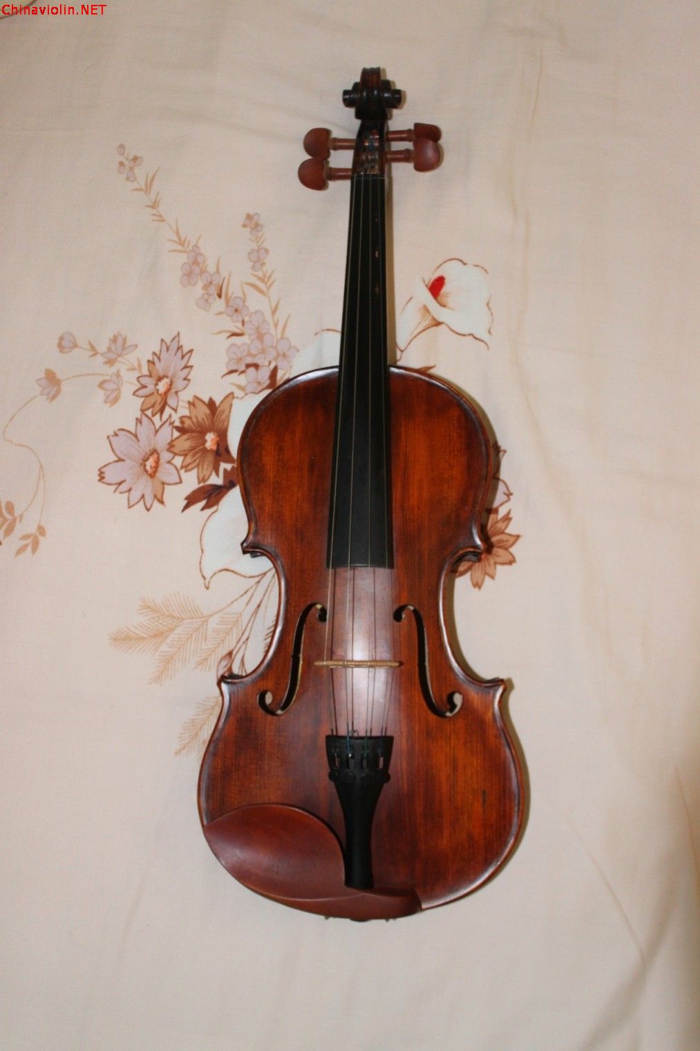 conew_violin (5).jpg