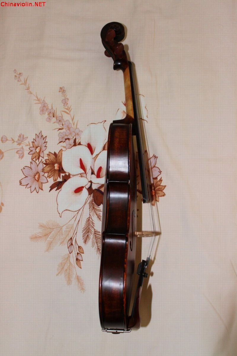 conew_violin (4).jpg