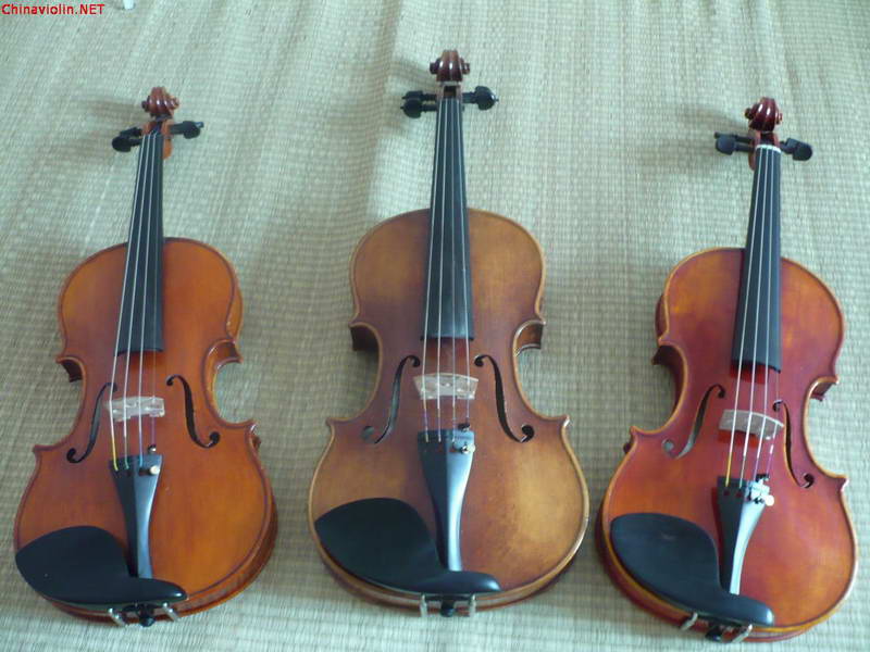 晒一下我的后宫，顺便求助一些问题