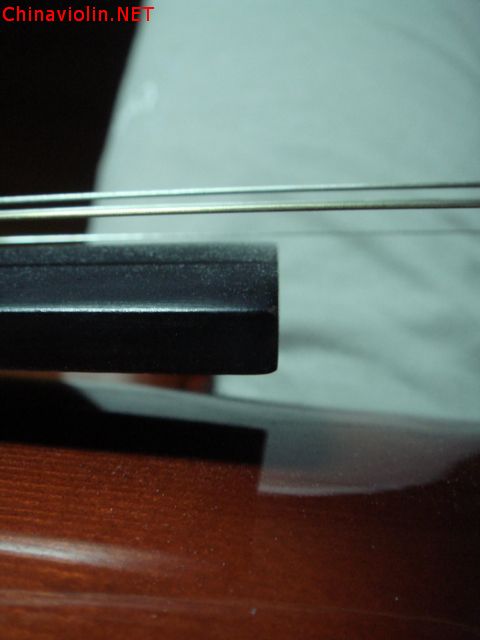 dsc06149.jpg