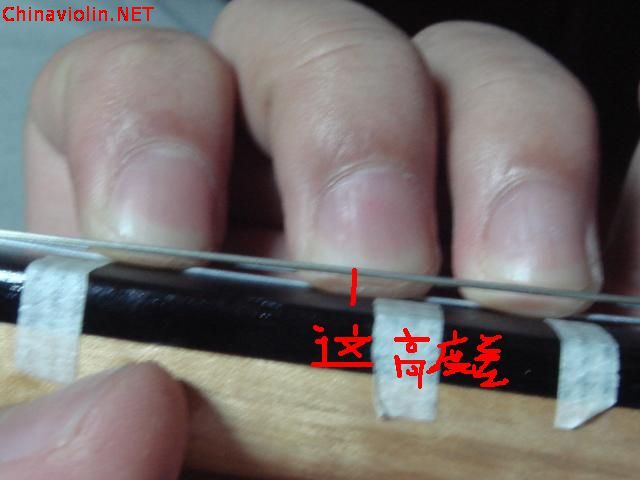 dsc06147.jpg