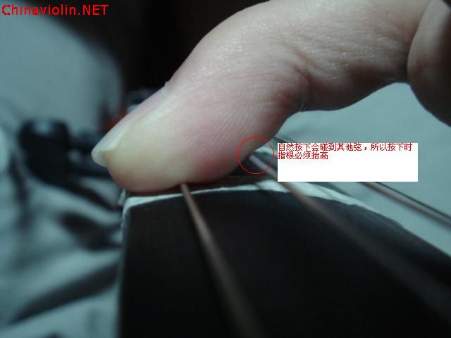 dsc06143.jpg