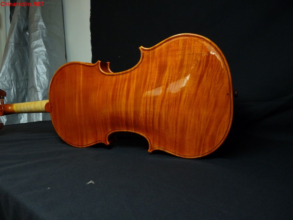 p1010720-2.jpg