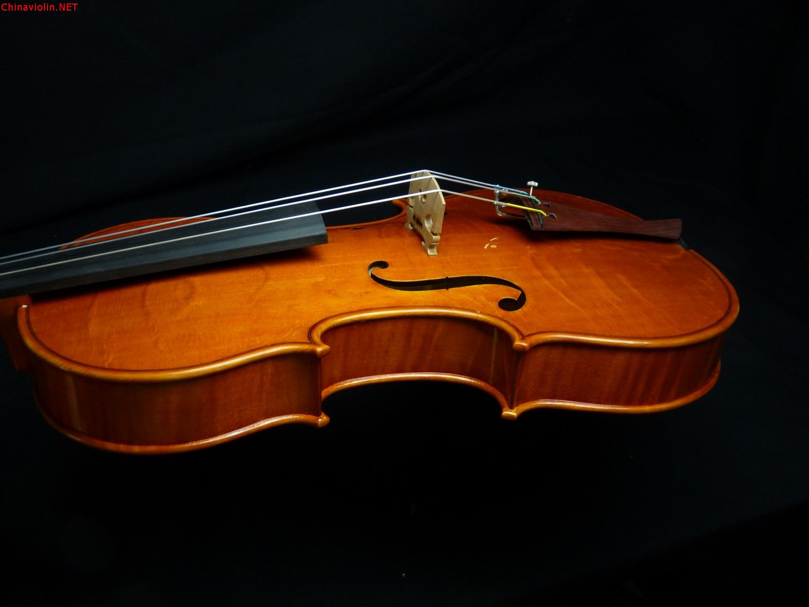 p1010718-1.jpg