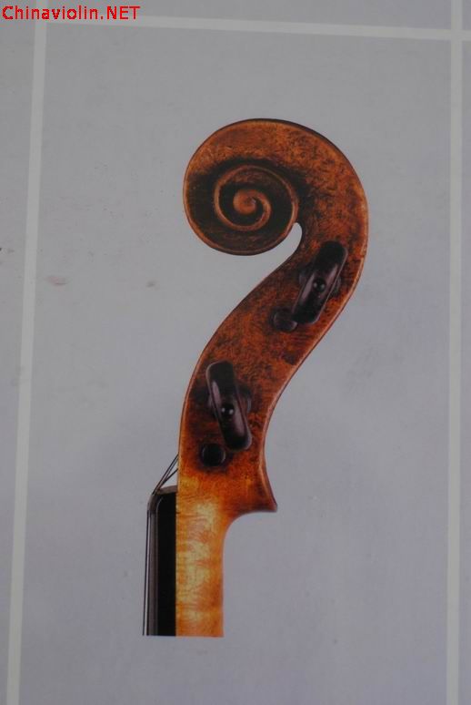 调整大小 dsc_0446.jpg