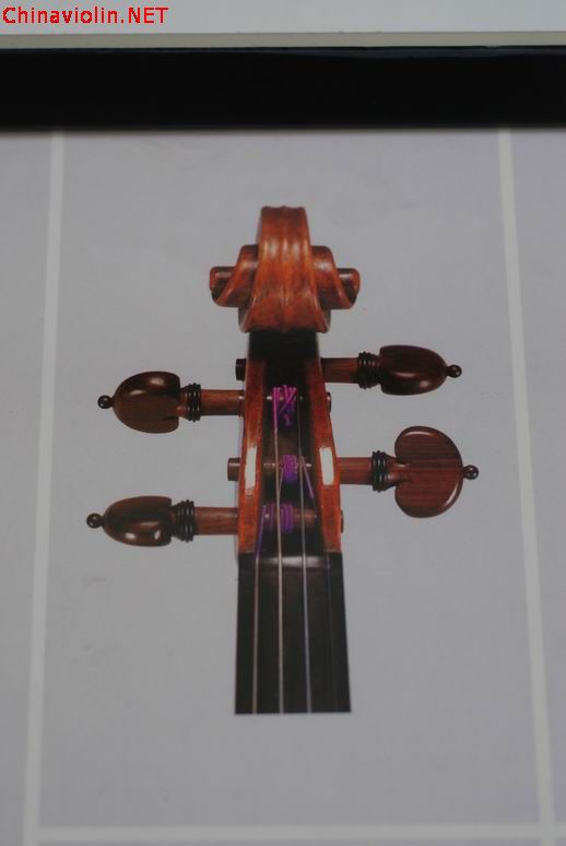 调整大小 dsc_0444.jpg