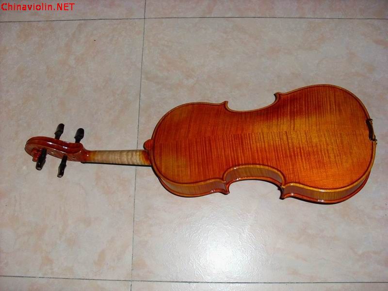 sl380105.jpg