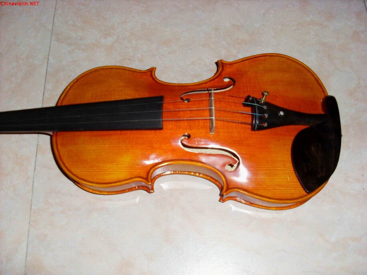 sl380107.jpg
