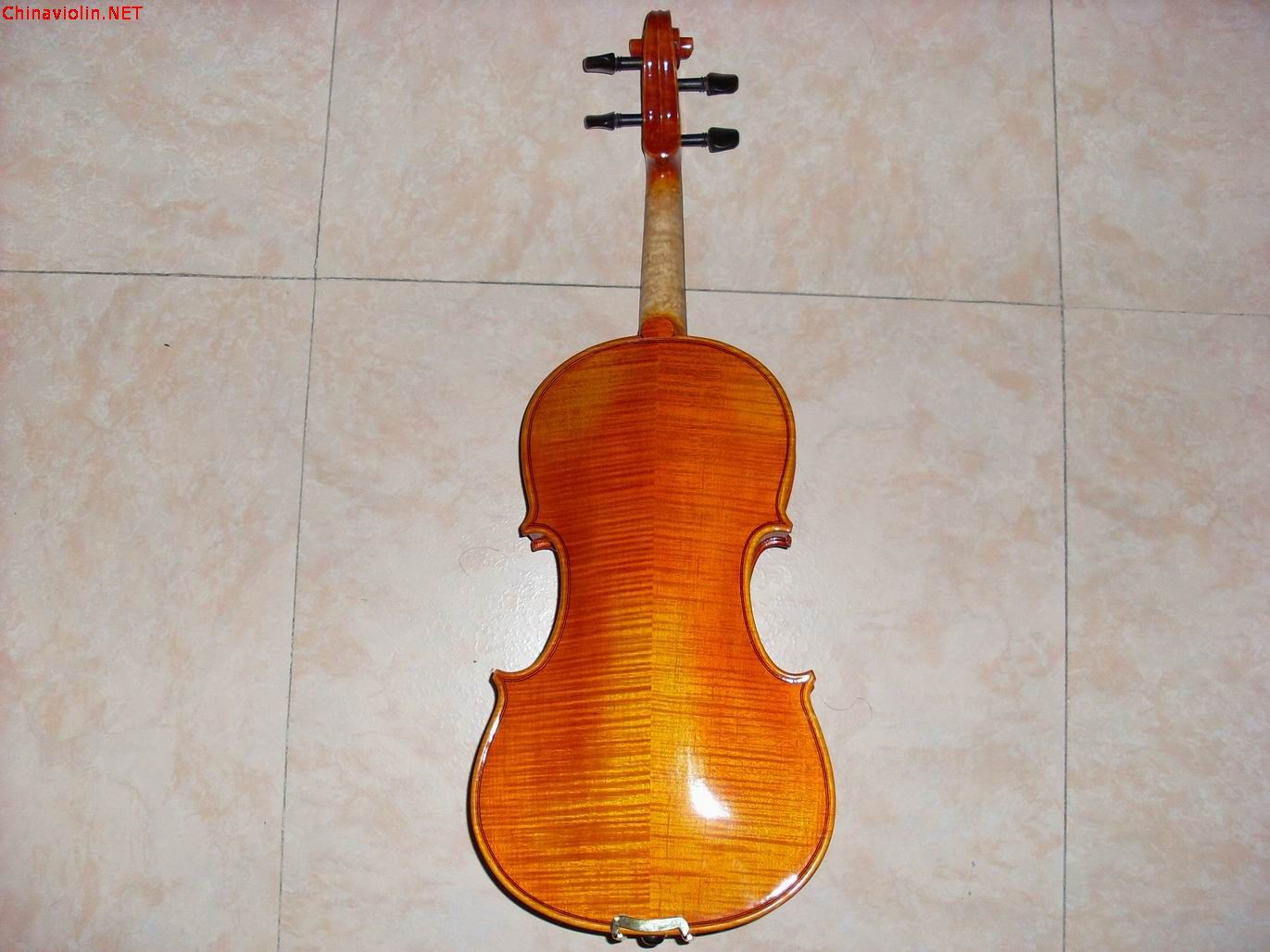 sl380109.jpg