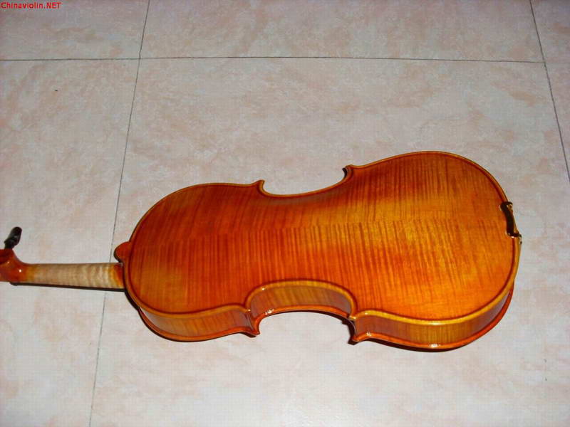 sl380106.jpg