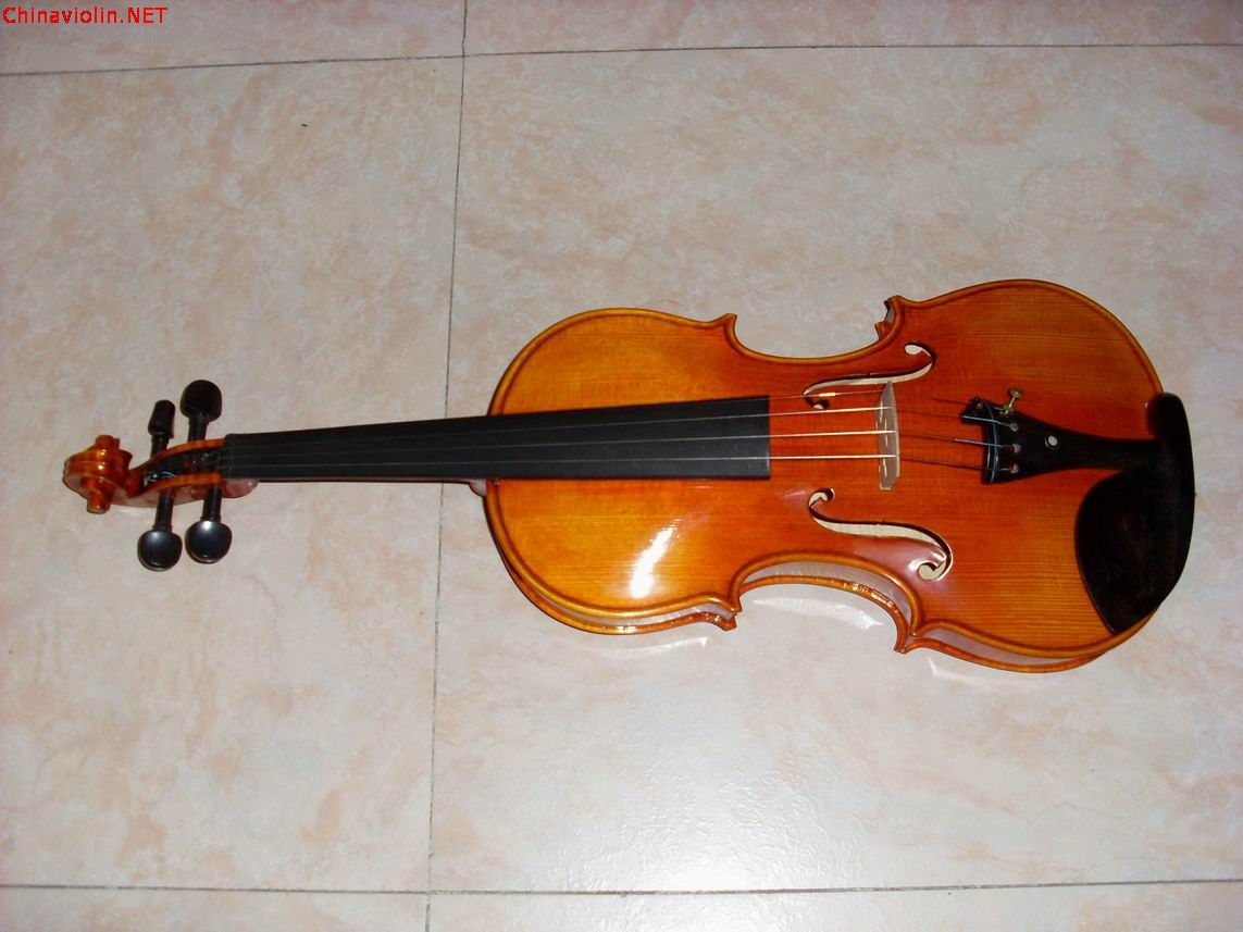 sl380103.jpg
