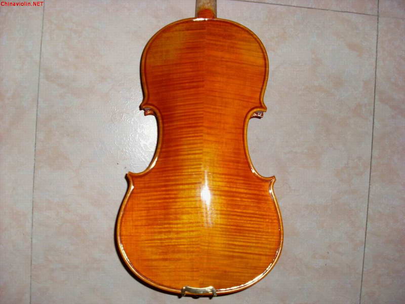 sl380110.jpg