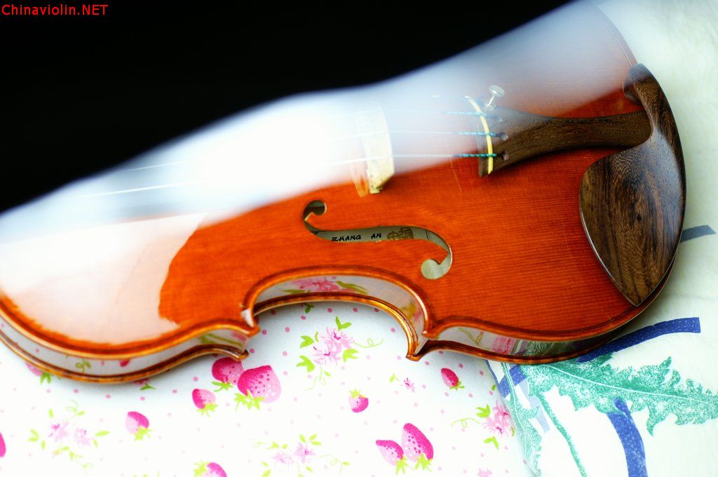 pict5394.jpg