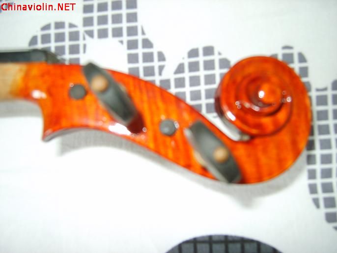 s8009164.jpg