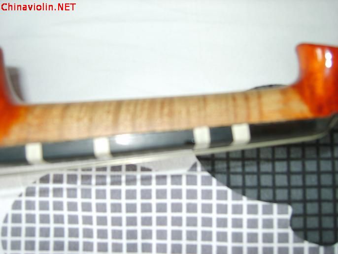 s8009160.jpg