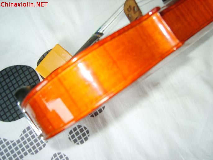 s8009168.jpg