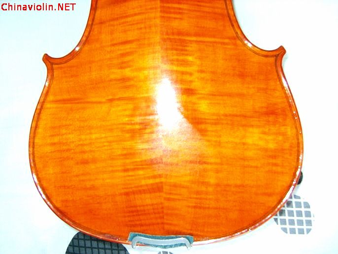 s8009172.jpg