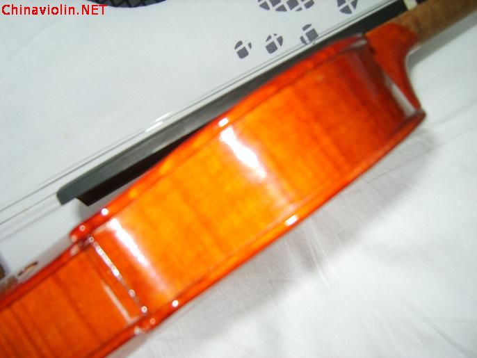 s8009166.jpg