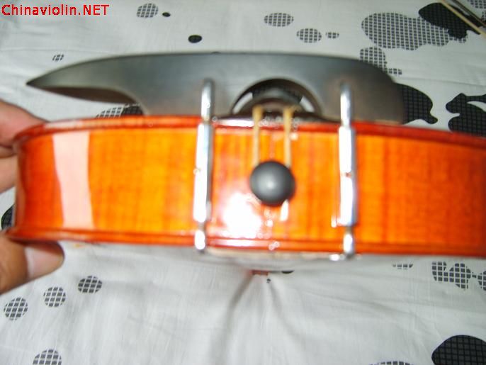 s8009169.jpg