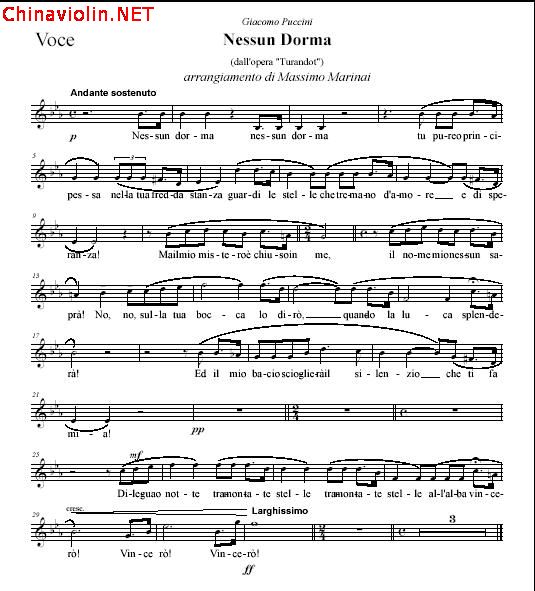 nessun dorma (voce).jpg