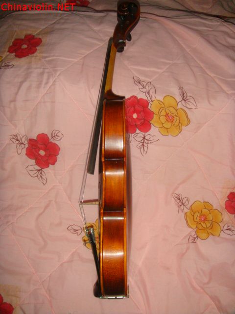 dsc02843.jpg