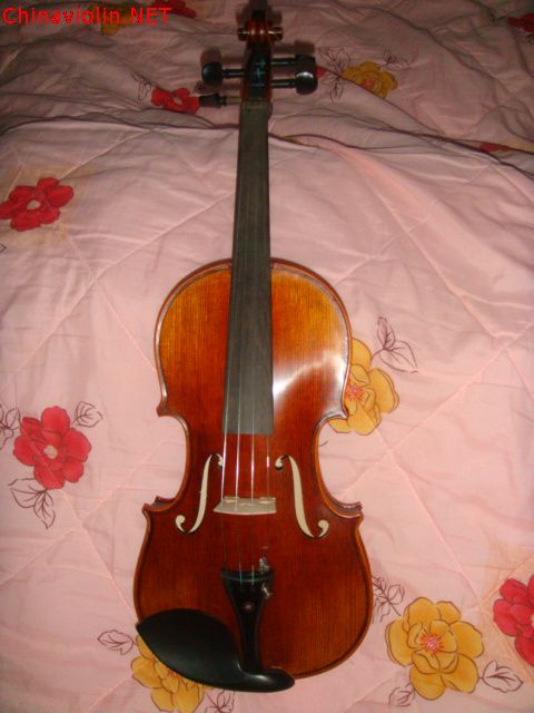 dsc02841.jpg