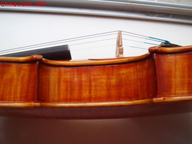dsc05411.jpg