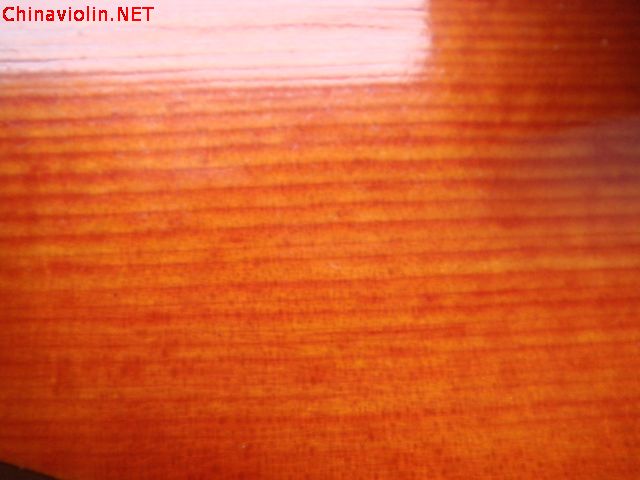 dsc05404.jpg