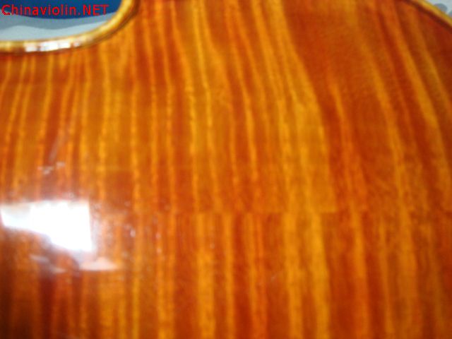 dsc05390.jpg