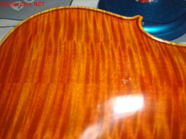 dsc05391.jpg