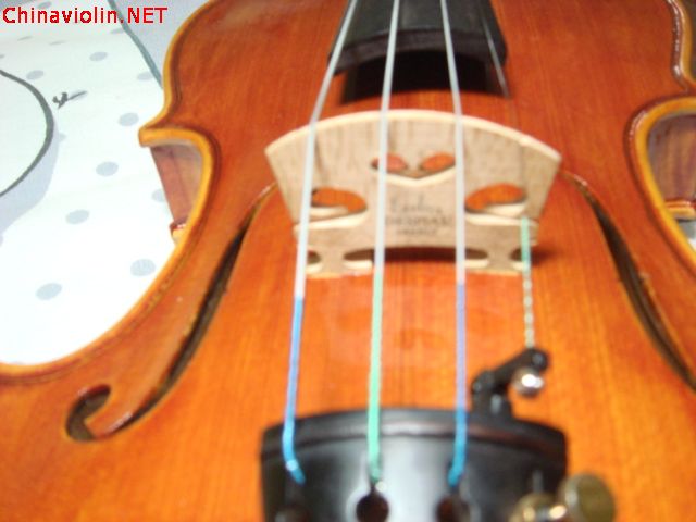 dsc05394.jpg