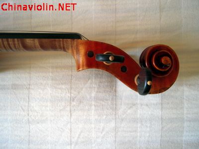 dscn3531.jpg