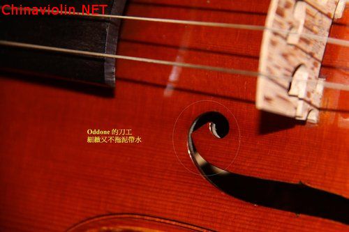 贵族oddone.jpg