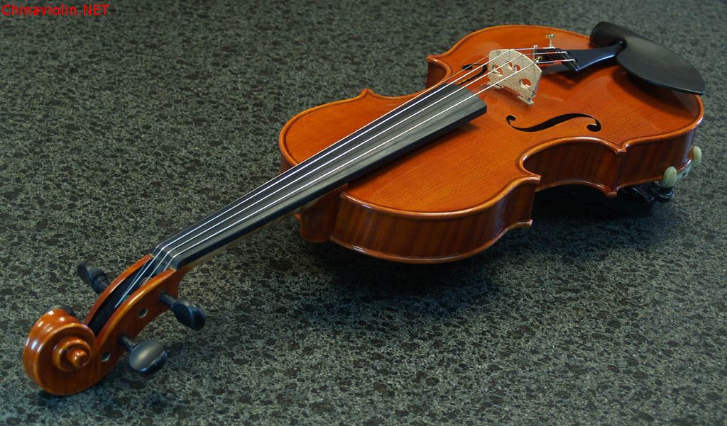 s221.jpg