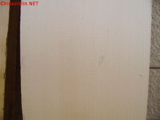pc120037.jpg