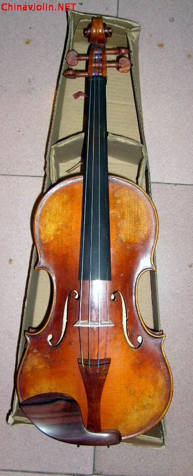 s6300089.jpg