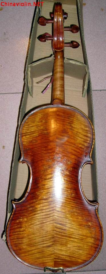 s6300090.jpg