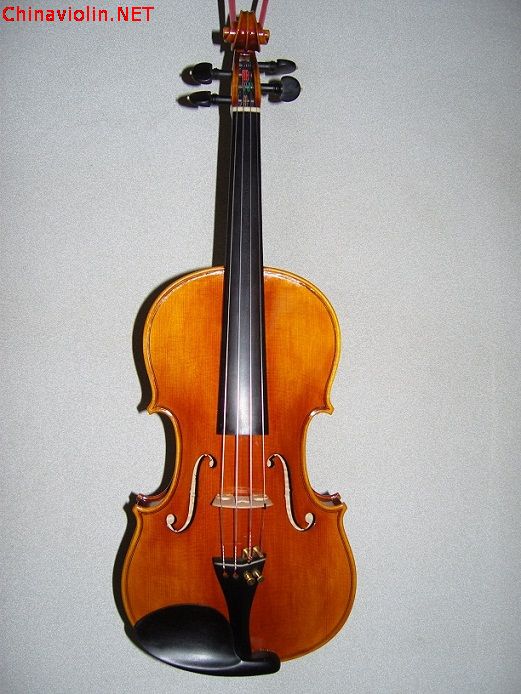 1snv80315.jpg