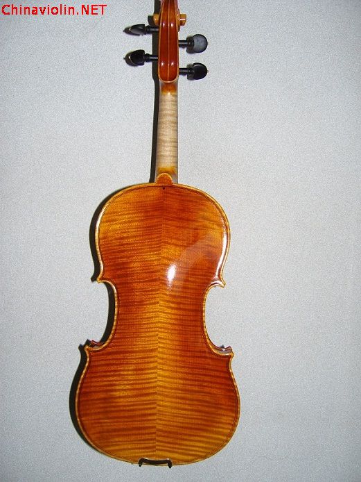 1snv80313.jpg