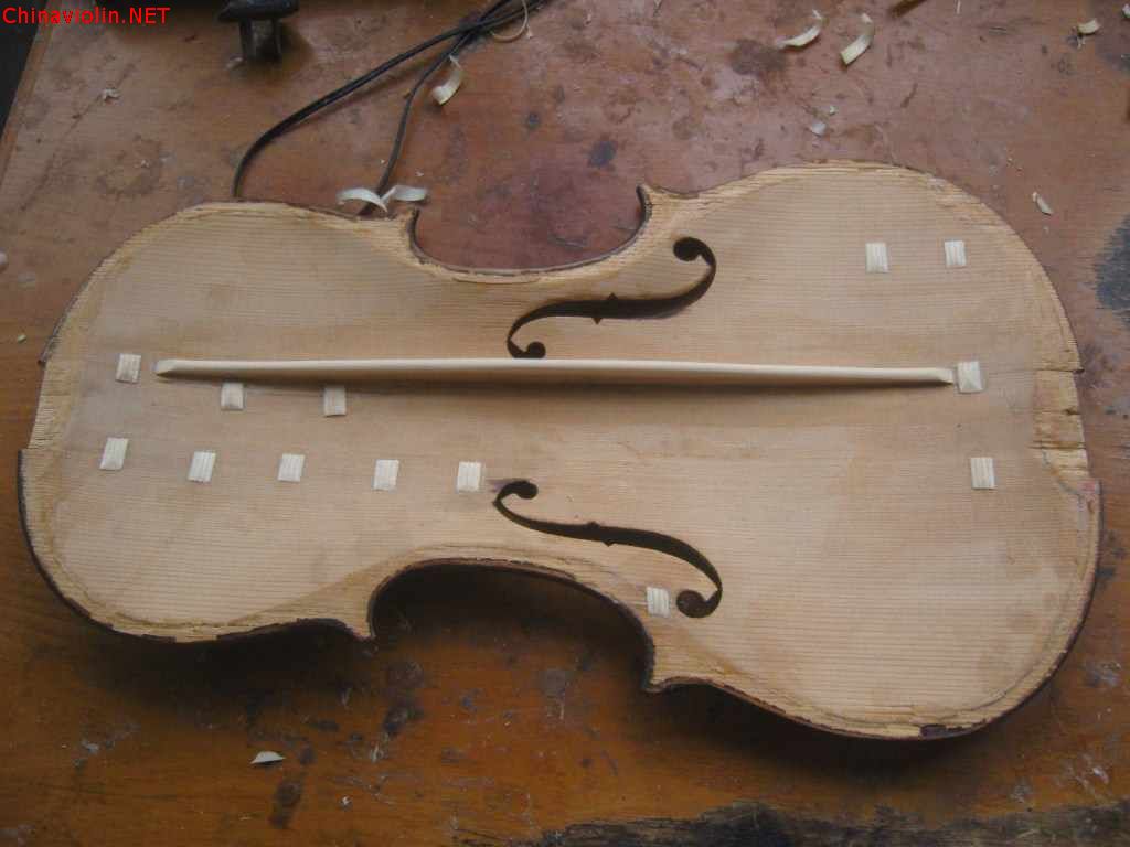 snv88356.jpg
