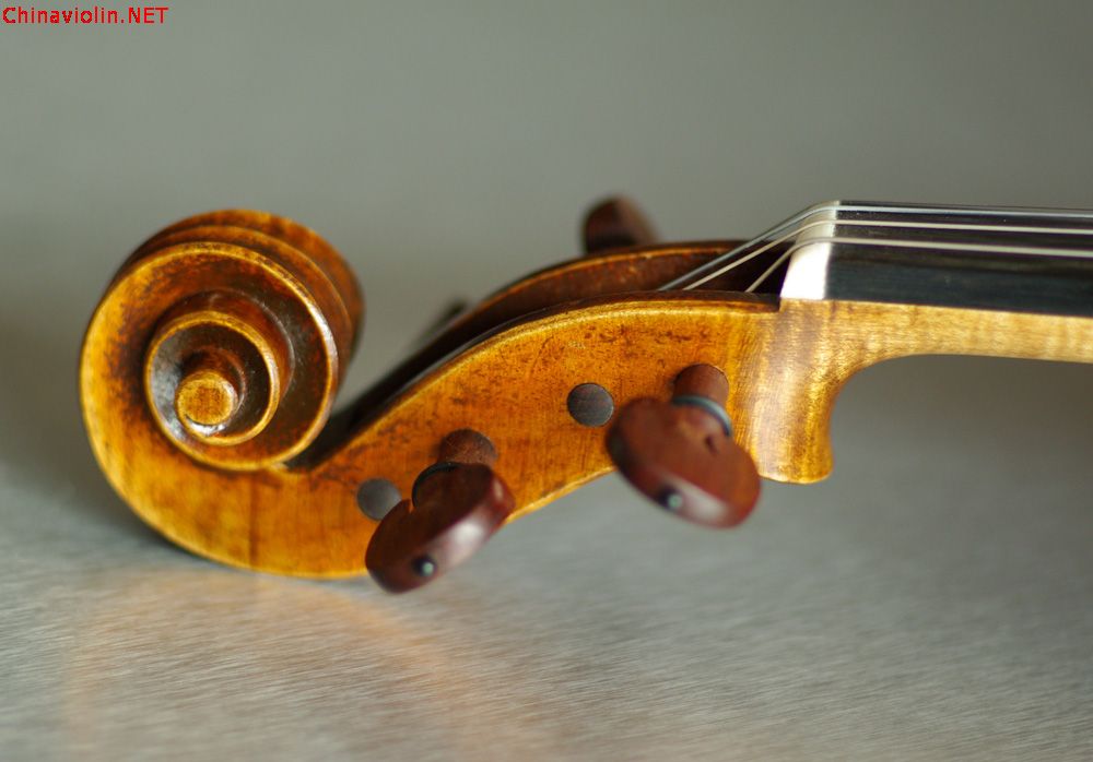 我的仿瓜1743（照片）