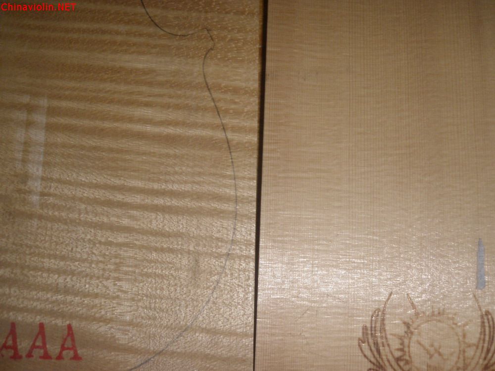 p1010808.jpg