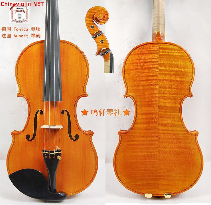 3397-02.jpg