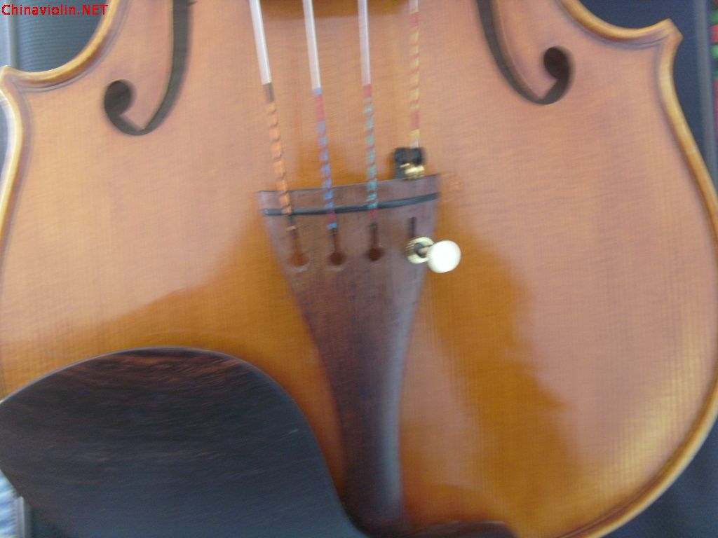 s73r2869.jpg