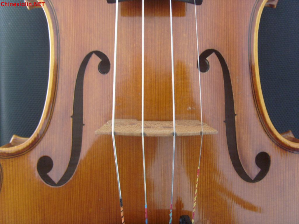 s73r2868.jpg