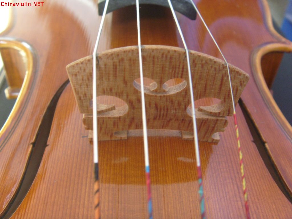 s73r2879.jpg