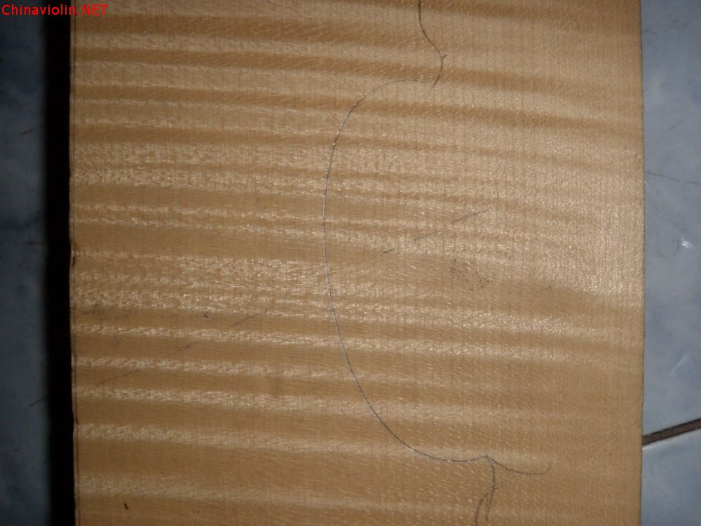 p1011300.jpg
