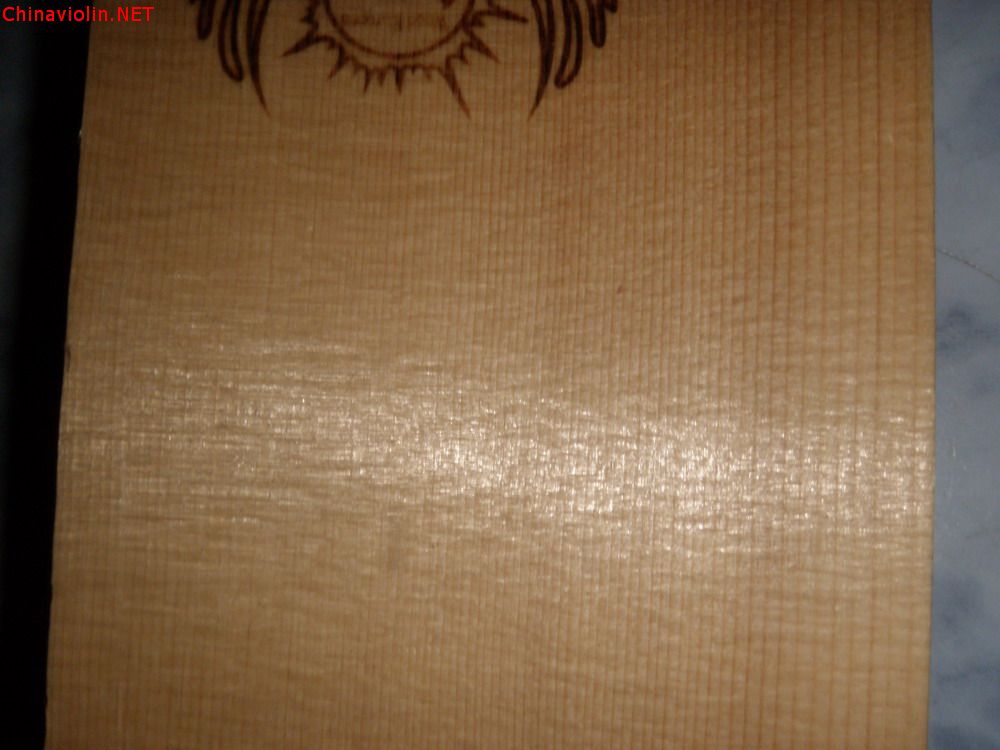 p1011286.jpg